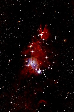 Orion's nebula